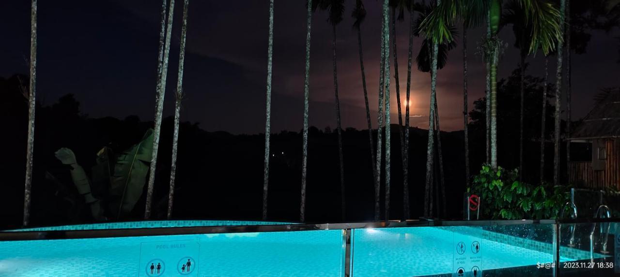 The Pool Villa Coorg Madikeri Eksteriør billede